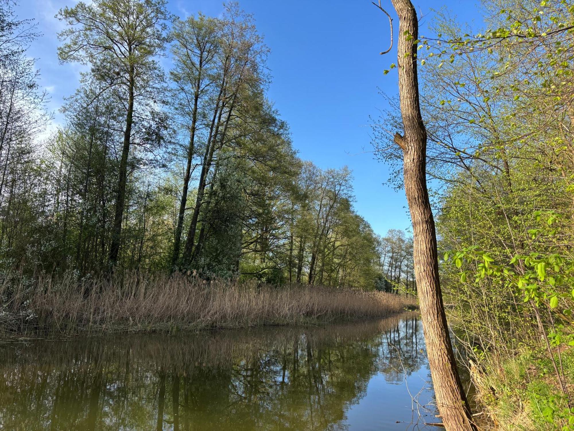Villa Dom Na Mazurach Spychowo Esterno foto